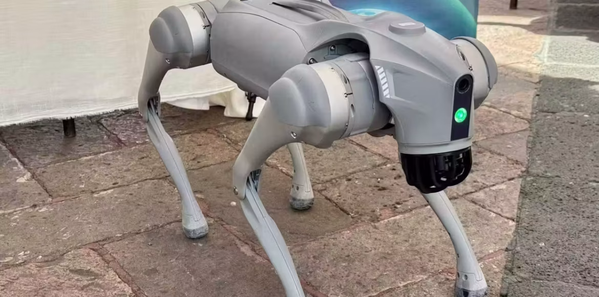 perro-robot-cuadrupedo-presentado-en-jornada-por-la-paz-san-juan-del-rio